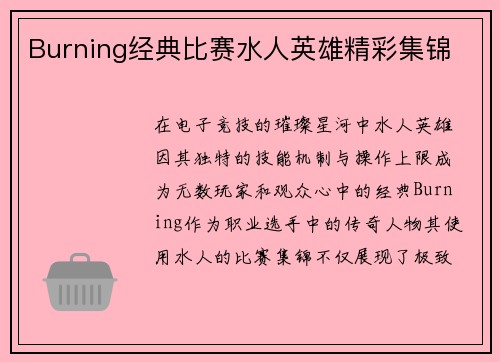 Burning经典比赛水人英雄精彩集锦